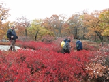 2016_Troop_Hike